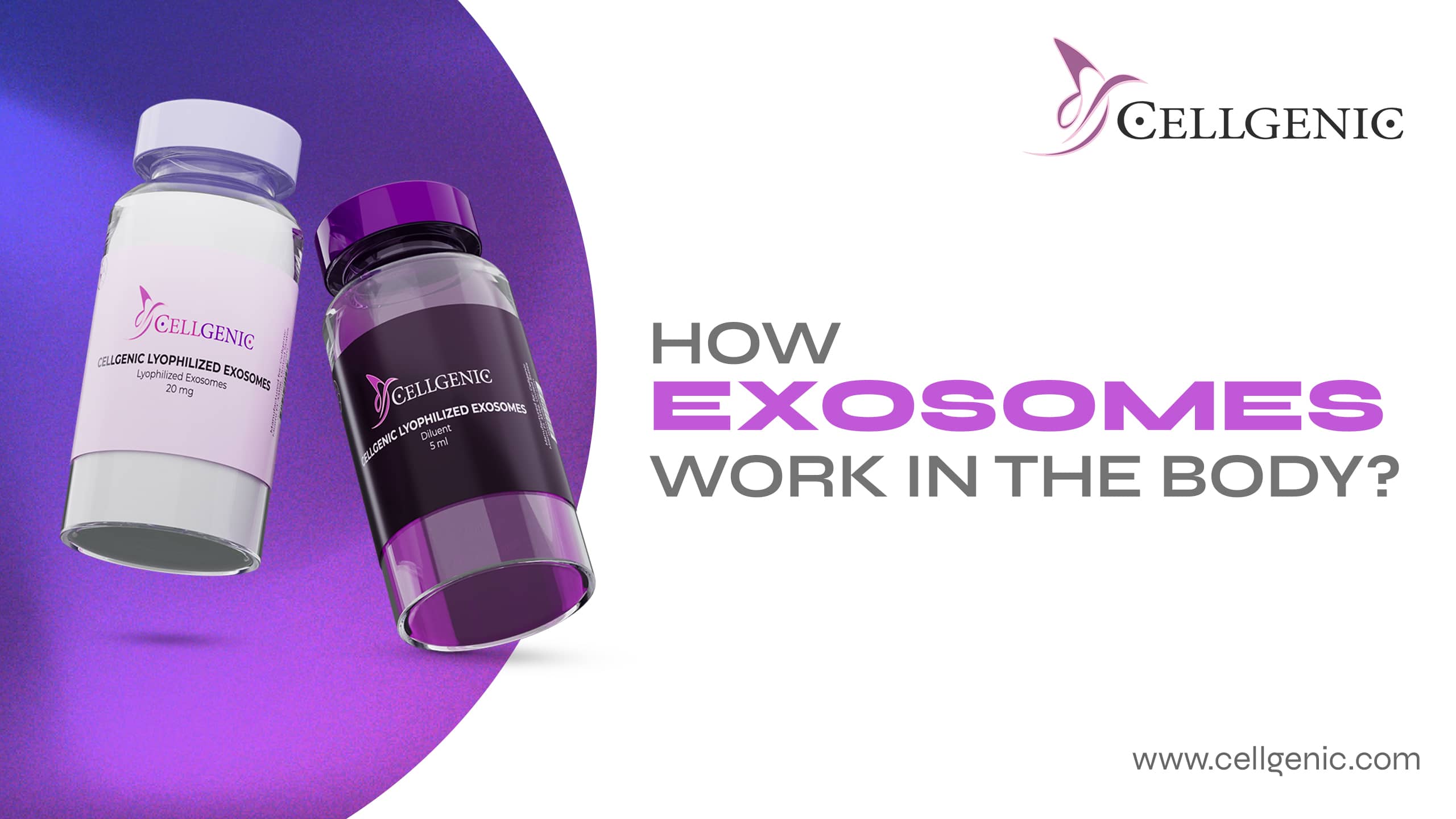 How Exosomes Work in the Body