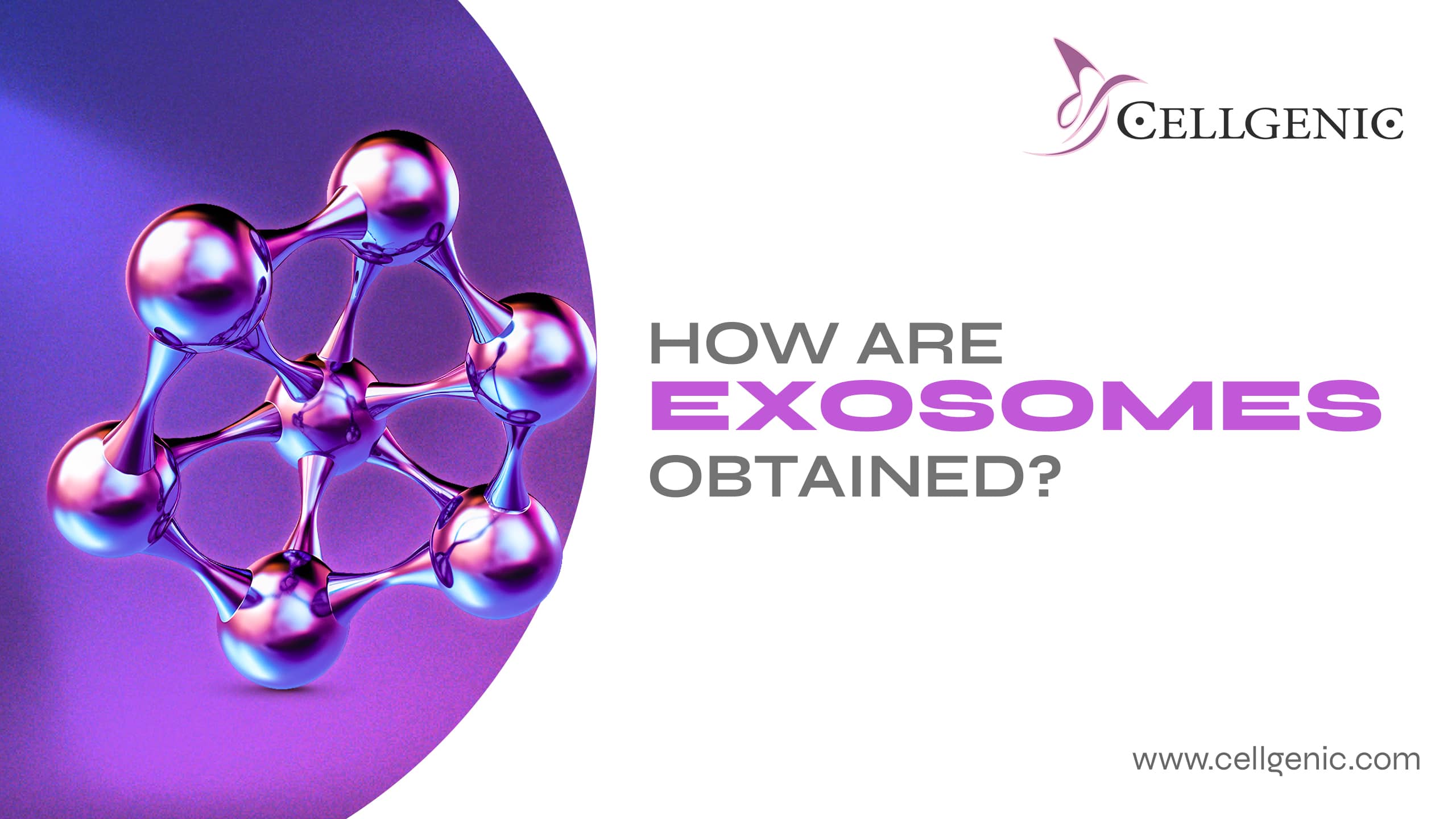 How are exosomes obtained?