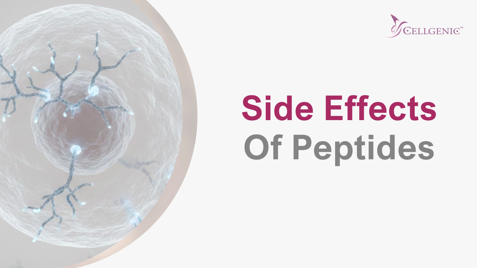 Microscopic cellular illustration showing biological processes next to text Side Effects Of Peptides by Cellgenic
