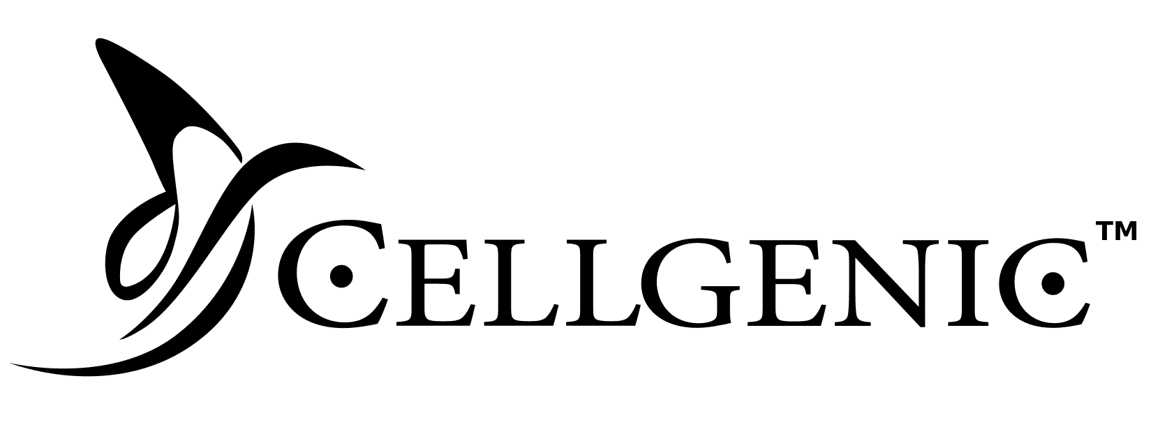 A descriptive text of the image
