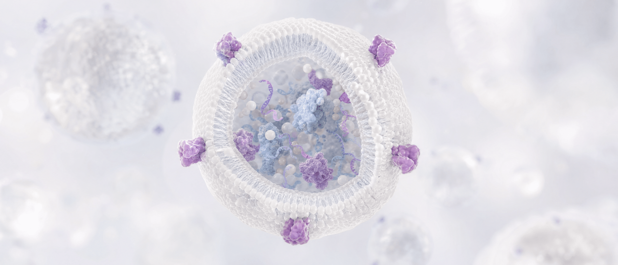 What Are Exosomes? A Clinician’s Guide to Extracellular Vesicles in Regenerative Medicine